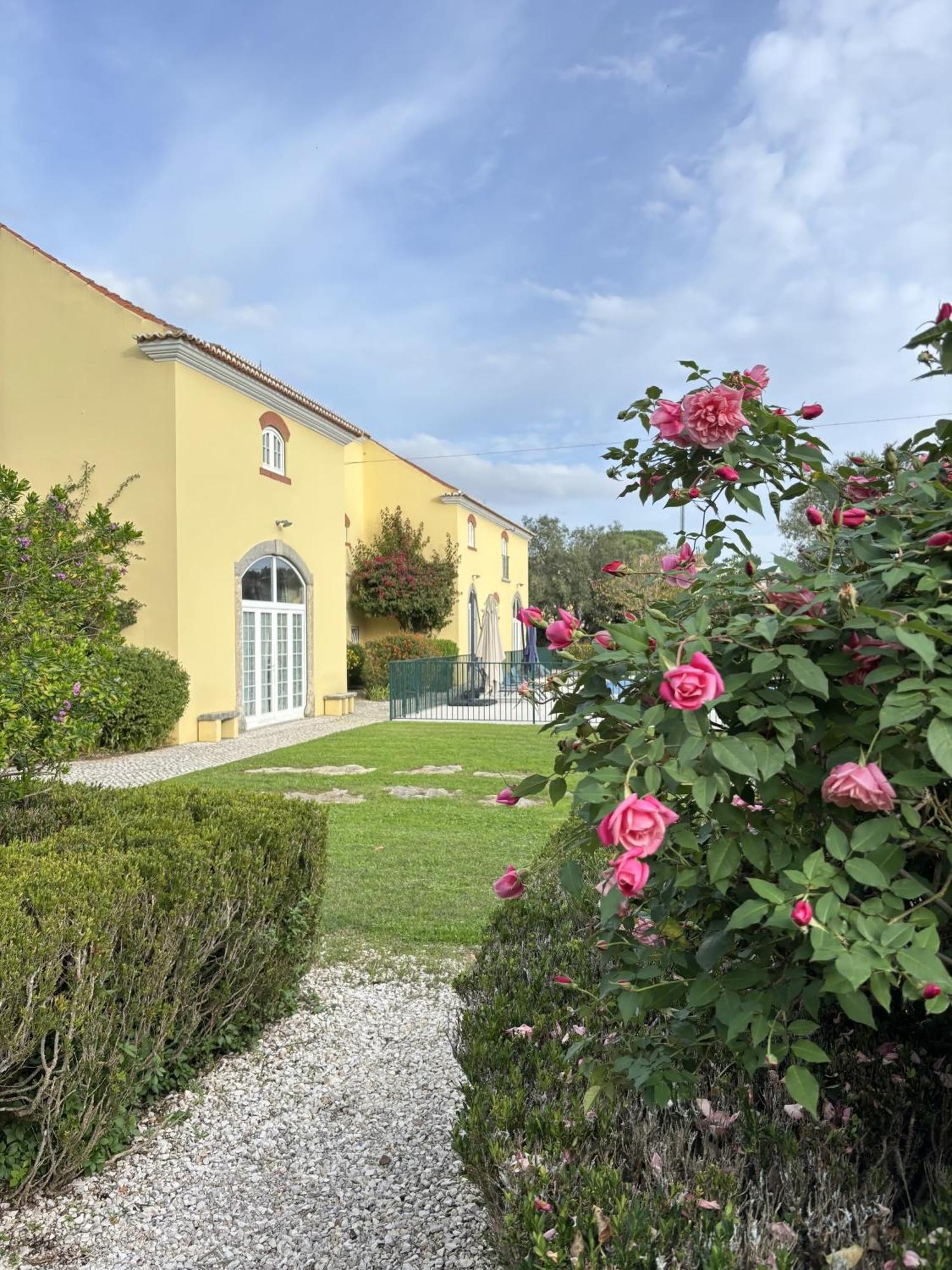 مبيت وإفطار Rinchoa Quinta Do Scoto المظهر الخارجي الصورة