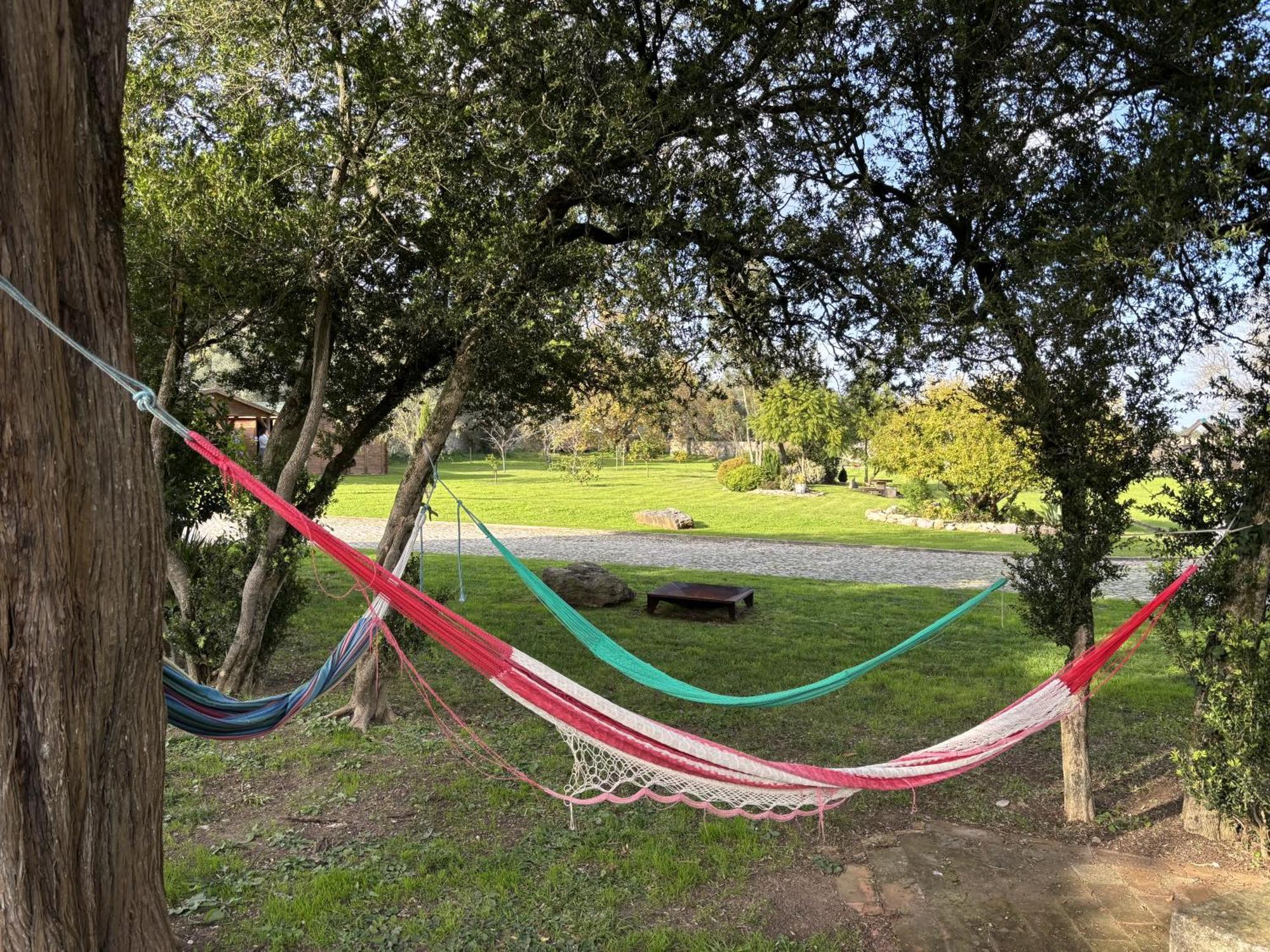 مبيت وإفطار Rinchoa Quinta Do Scoto المظهر الخارجي الصورة
