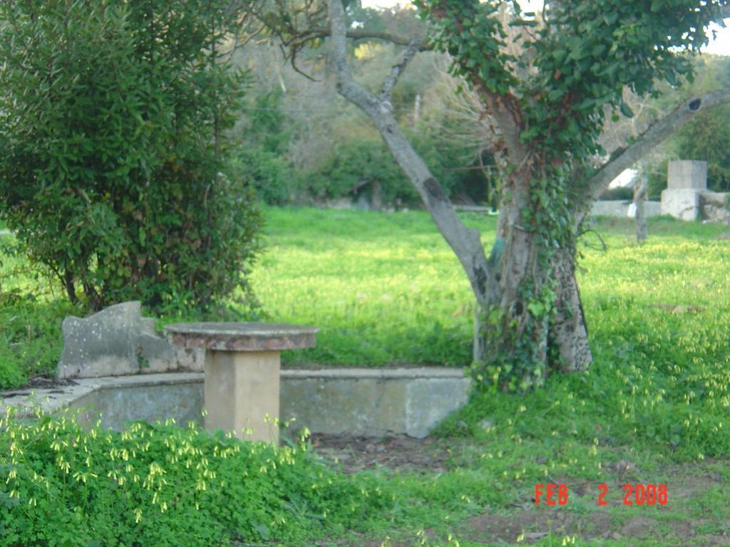 مبيت وإفطار Rinchoa Quinta Do Scoto المظهر الخارجي الصورة
