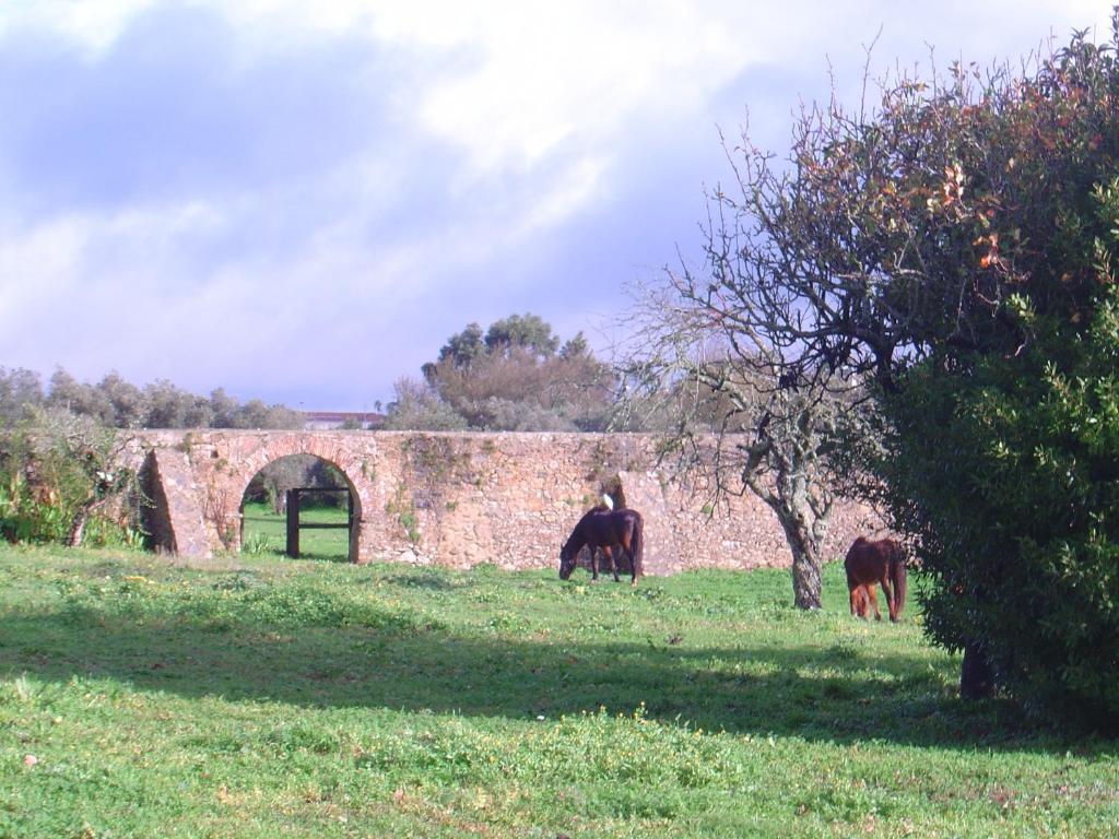 مبيت وإفطار Rinchoa Quinta Do Scoto المظهر الخارجي الصورة